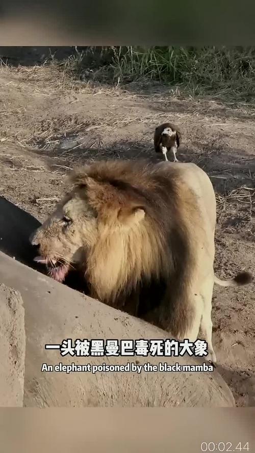 澳门香港 第13页